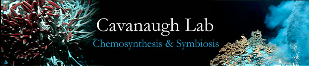 Cavanaugh Lab